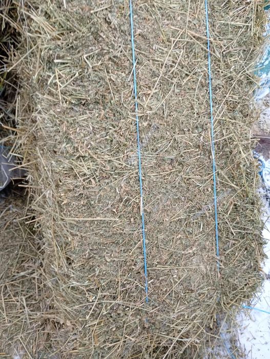 Vand baloți lucernă, fan și paie