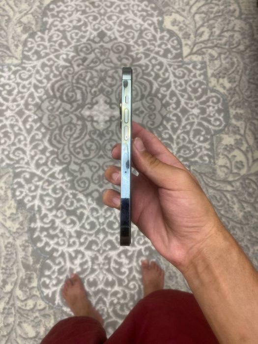 Iphone 13 pro ideal