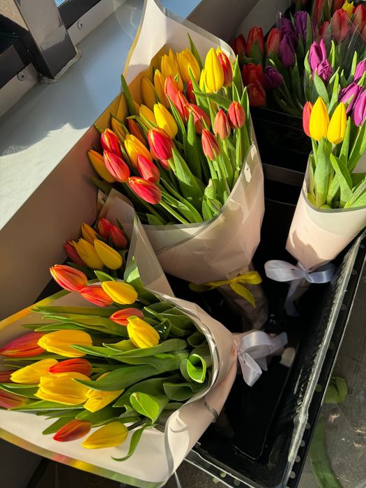 Тюльпаны ОПТОМ Кокшетау 400тг