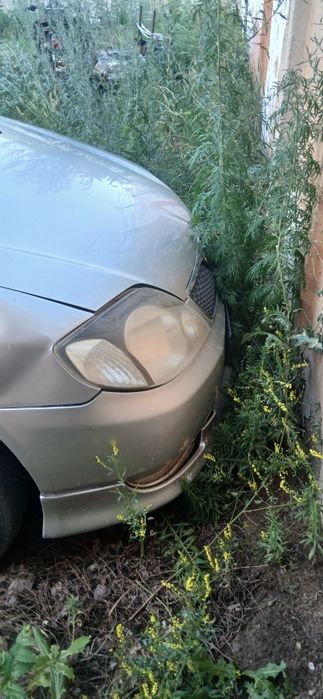 Прадам   Toyota corolla