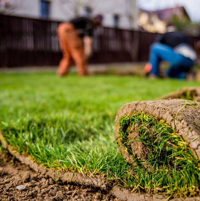 Gazon Rulou pentru Curte si Gradina - Montaj Complet