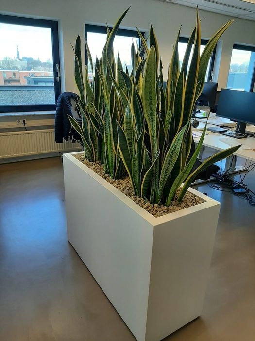 Кашпо на заказ по индивидуальным размерам!