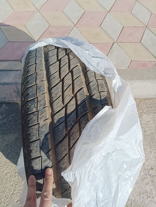 Шины Toyo  всесезонка