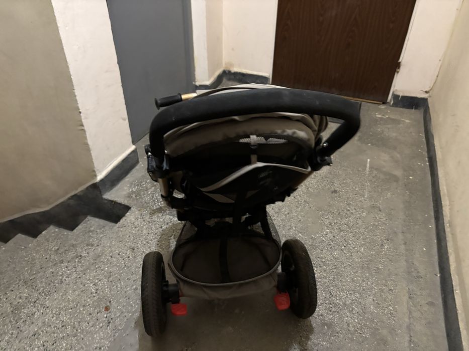 Триколка chipolino