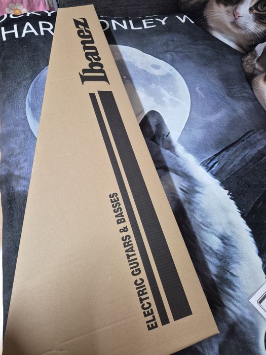 Chitara electrica Ibanez GRG170DX-BKN Black Night 2025 ! Nou!