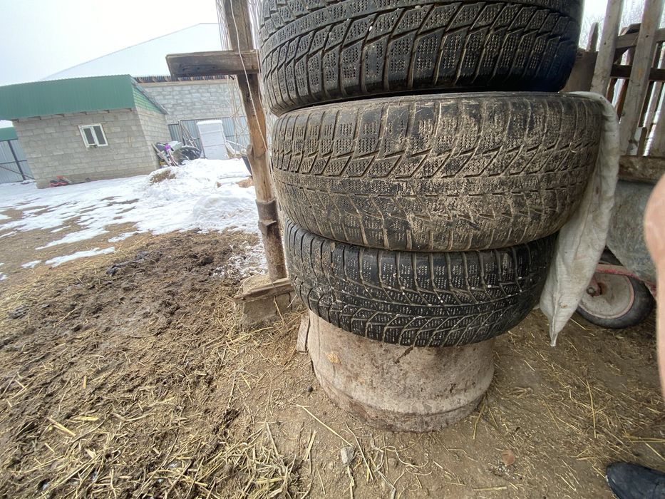 205/55/16 3 штуки