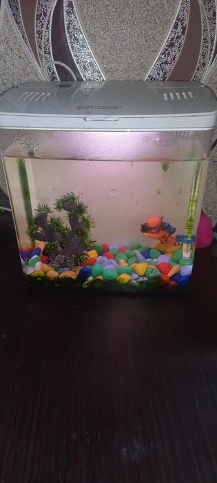 Продам Аквариум 5л