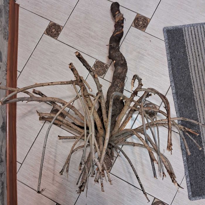 Коряга в аквариум