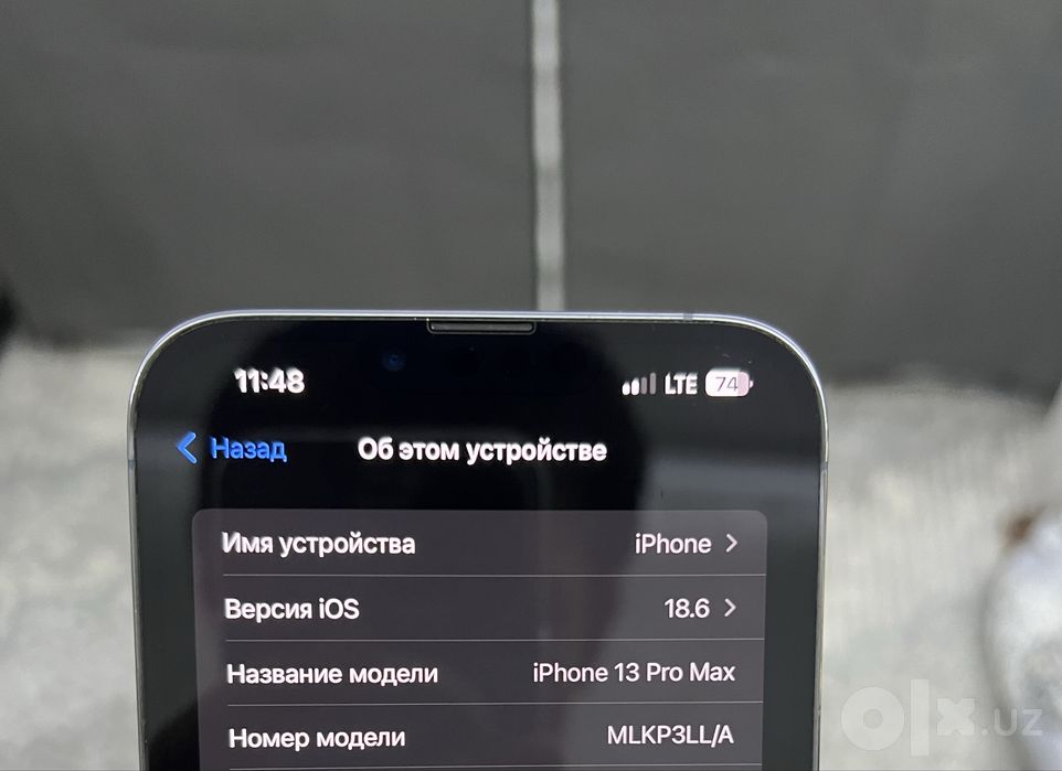 iPhone 13 Pro Max