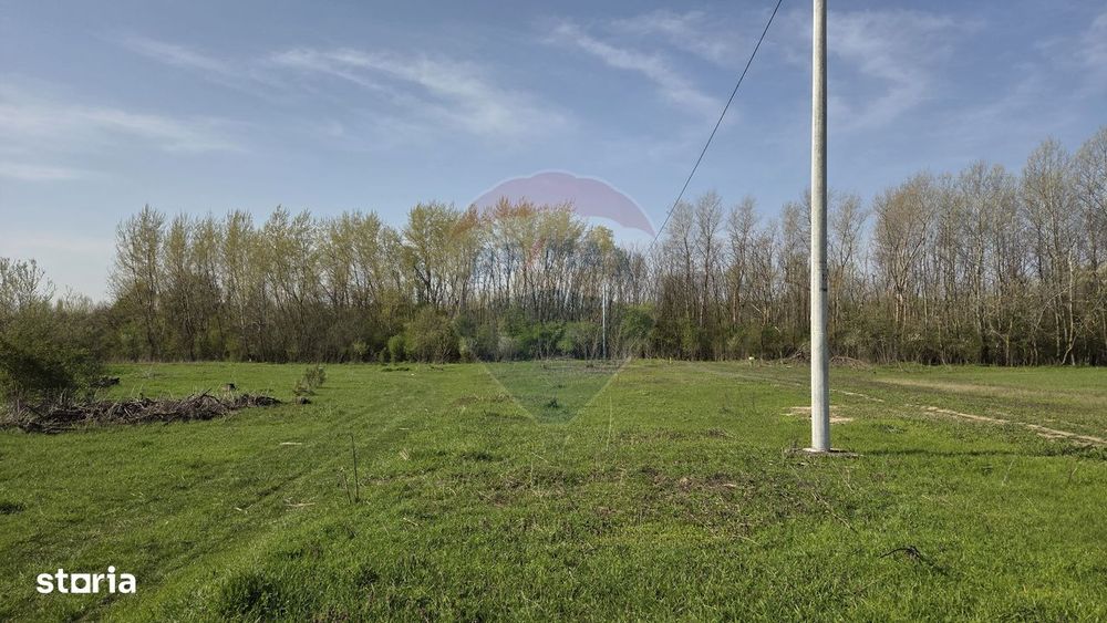 Teren intravilan de vanzare 500 mp, com Domnesti/Teghes