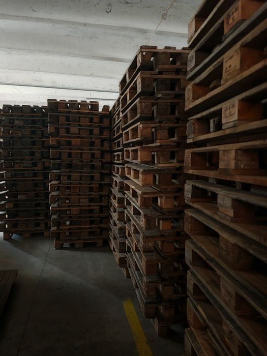 Vand europaleti cal negru