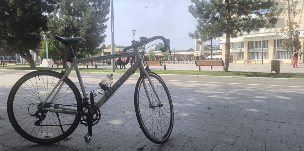 Cursiera Carrera Virtuoso