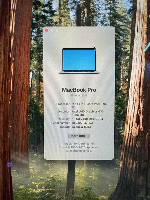 MacBook Pro 2018 (15-inch)