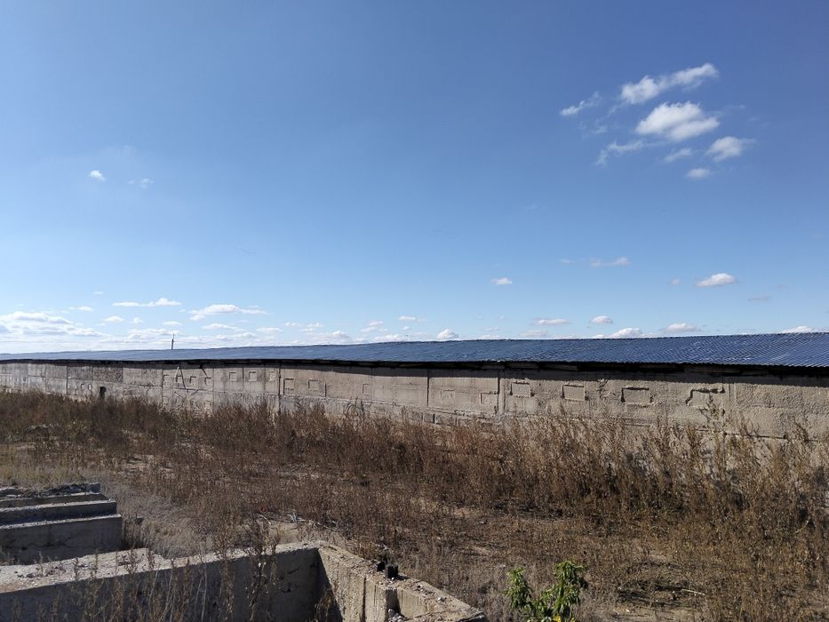 Продам базу под откорм и т.д.