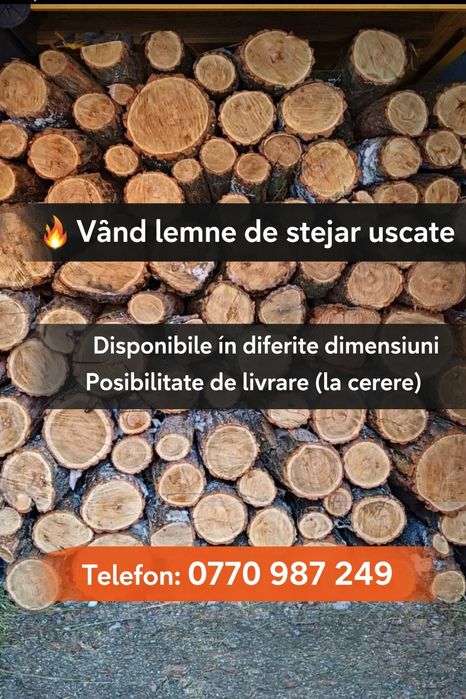 Vând lemne uscate