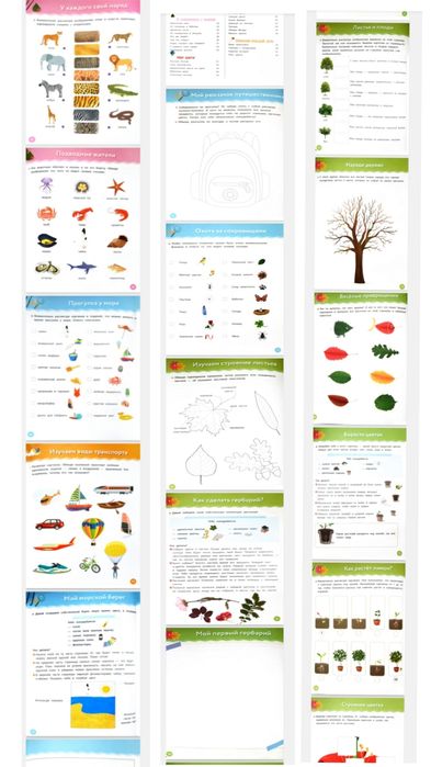Развивашка, для детей с 3 до 6 лет