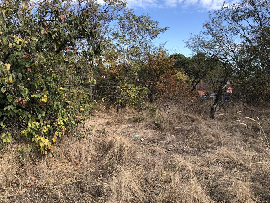 Продава се Парцел в Русе, Веждата - 1175 кв.м за 69 €/кв.м - Снимка #4