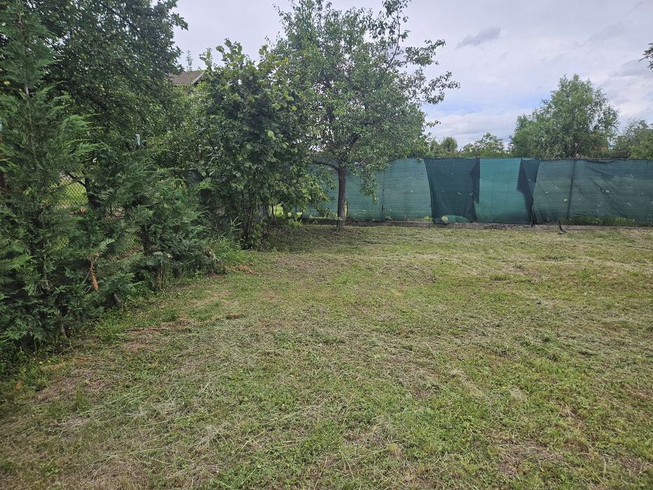 Vand proprietate front doua strazi Beius