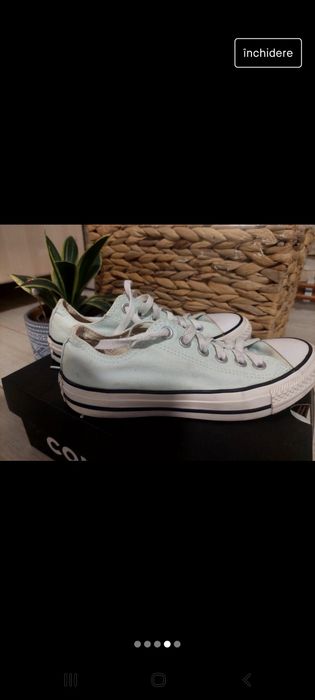 Converse All Star bleo