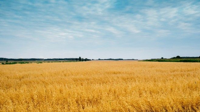 Продавам земеделска земя