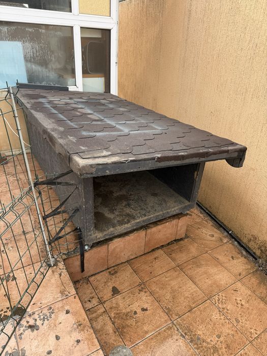 Cusca caine companie, curte