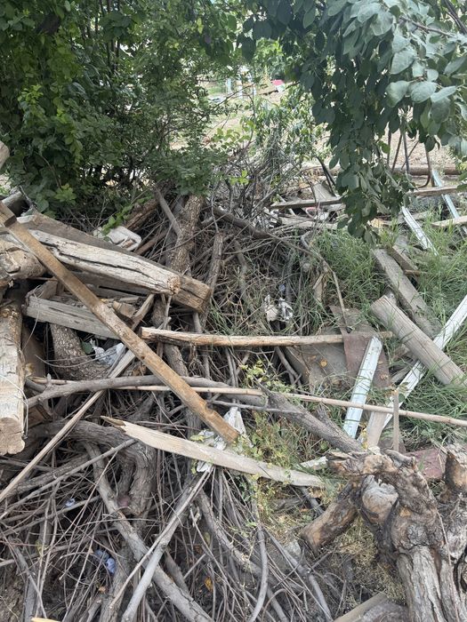 Otin sotiladi, Дрова, кругляк