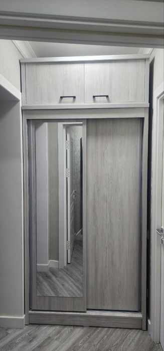 Шкаф купе шкафы купе с антресолью (240×1.10×57)