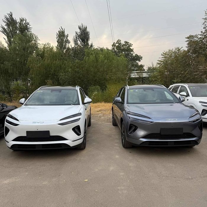 **‼️BYD Sealion 06 full Masla‼️