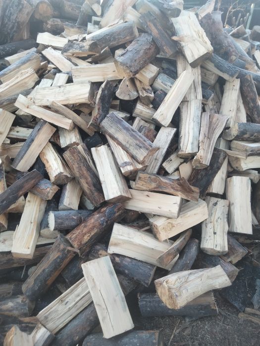 Дрова от 500 т..