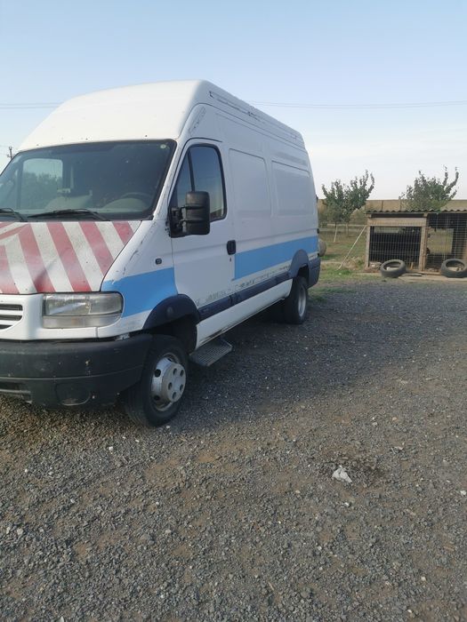 Duba renou mascott de vinzare perfect funcțional duce 6 tone fără sa s