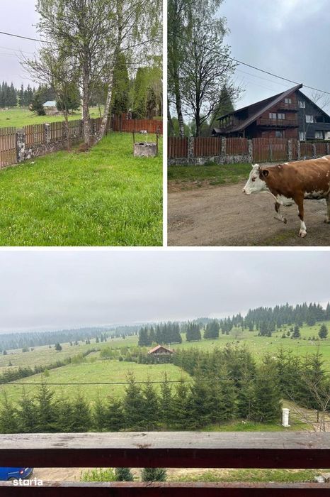 Cabana cu potențial turistic deosebit în Râșca Belis