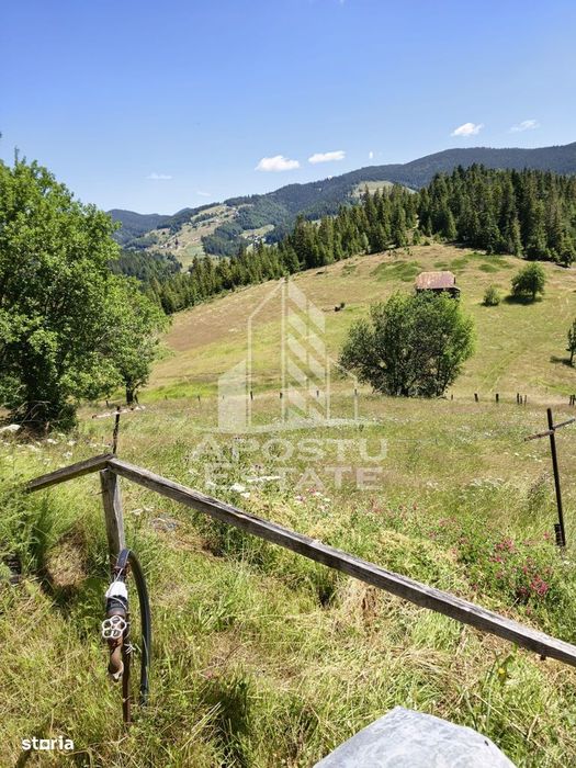 Casă de vacanță la Arieșeni/2 km de Pârtia Vârtop/280MP/1000MP TEREN