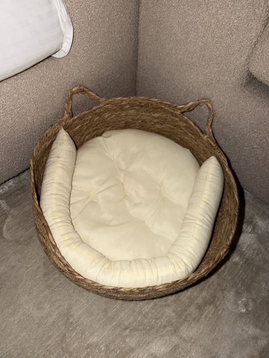 Отдам в добрые руки котенка