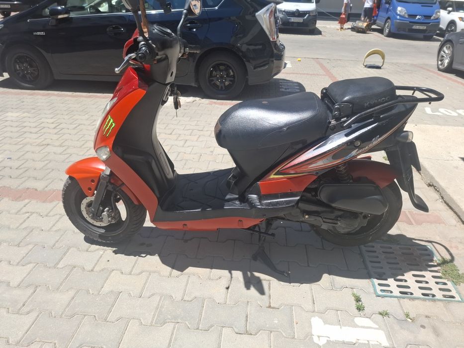 Vand  sciter 49 cu permis