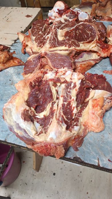 мяса  гавадина даставка бесплатно