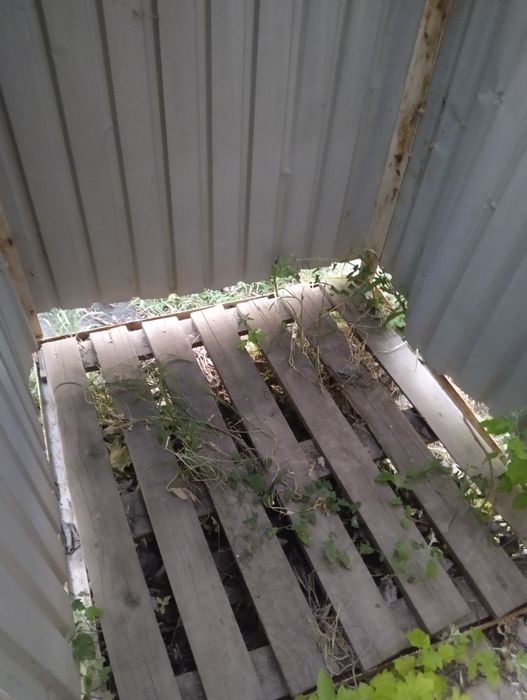 Дайын душ сатылады