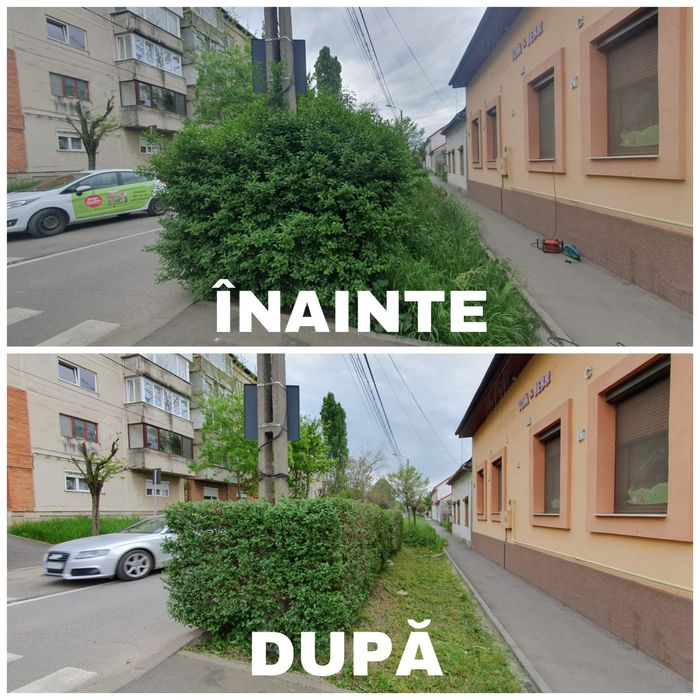 Tai iarba tund Iarba Defrisari 30 bani/m2 Interventii Rapide Timisoara ...