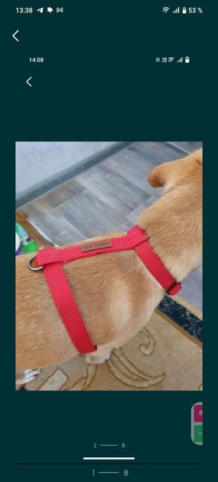 шлейки для собак