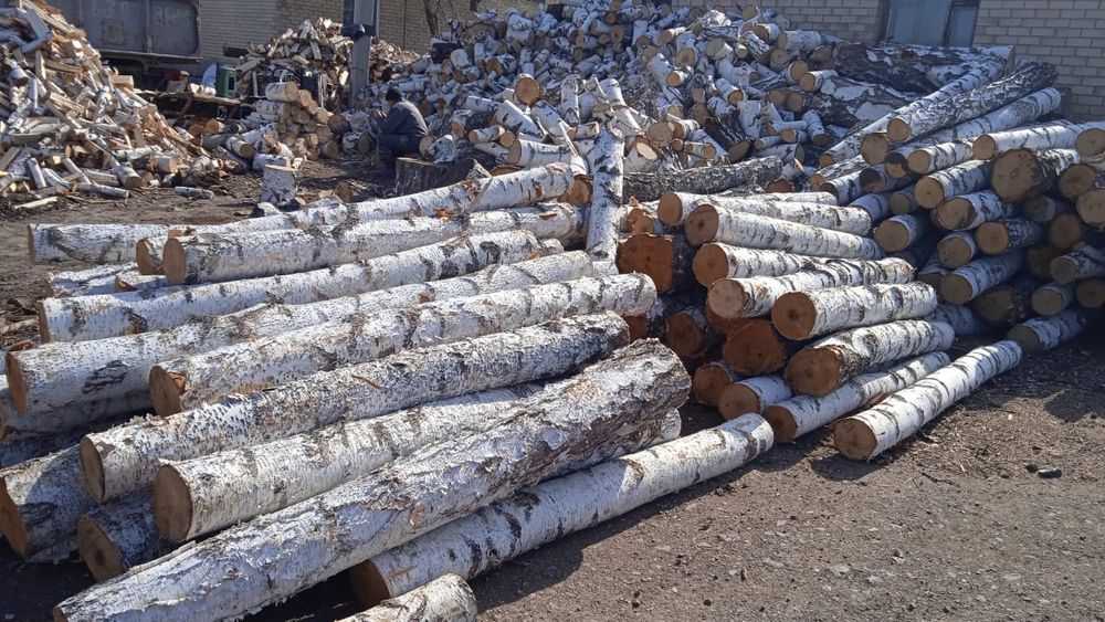 Астана: Дрова берёза, колотые чурки