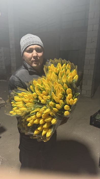 Тюльпан крупный.