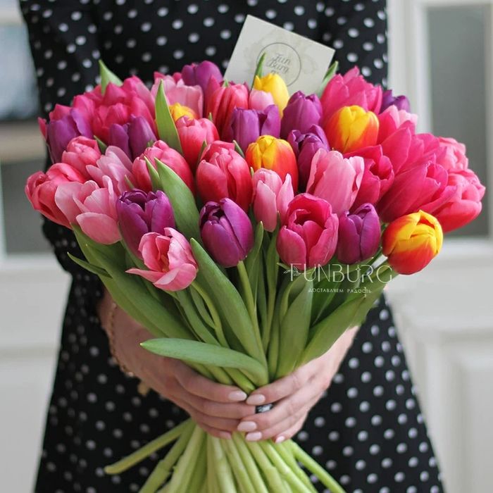 Продаю цветы не дорого