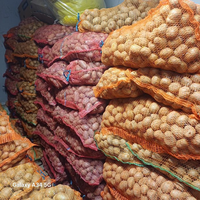 Vând cartofi de consum 3 lei/kg si de sămânță 2,5 lei/kg