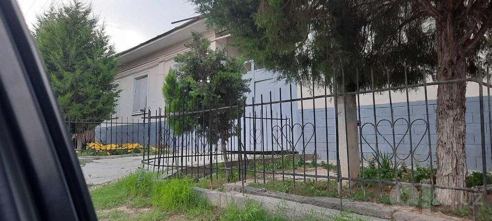 Nazarbek Turkiston saxovat