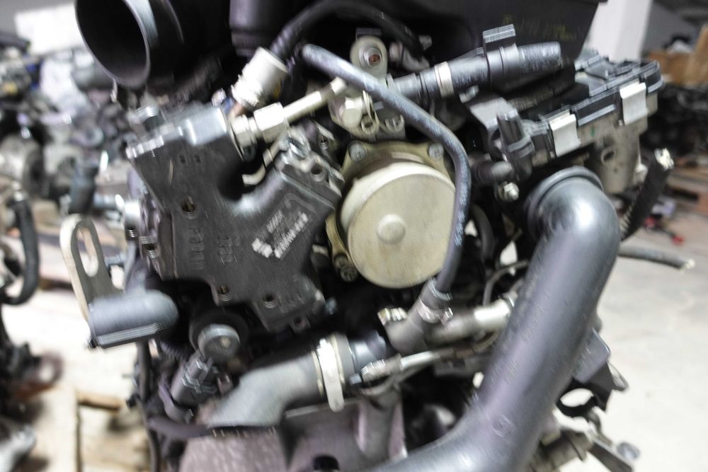 Motor 1,3TDCI*169A5000*CuAnexe&CutieViteze 55Kw/75Cp79000kmEuro5 FordK2,FiatPanda,etcImportFranta