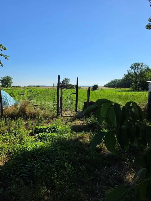 Casă – Tartasesti - Vedere 3