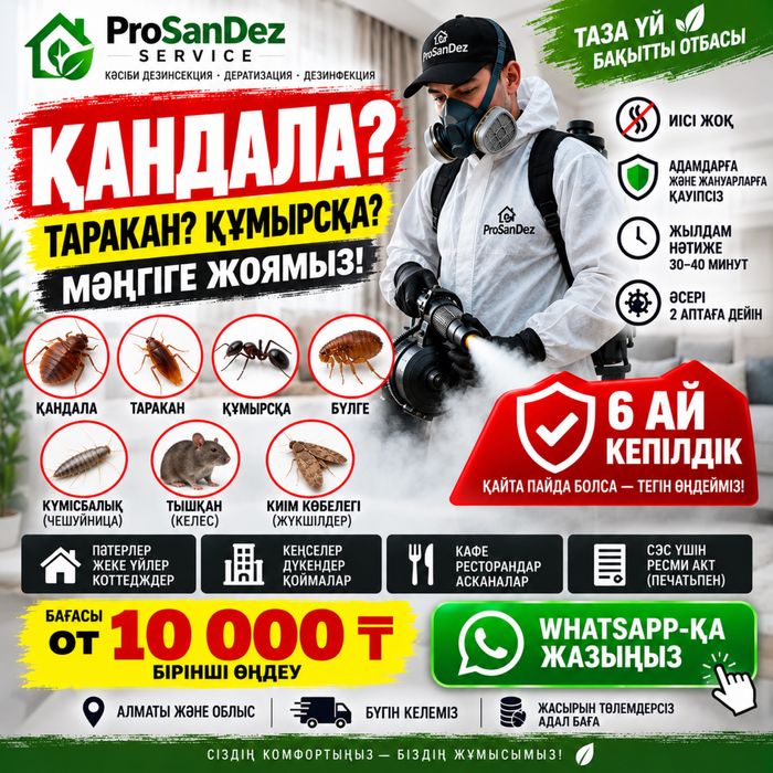 уничтожение клопов тараканов дезинфекция