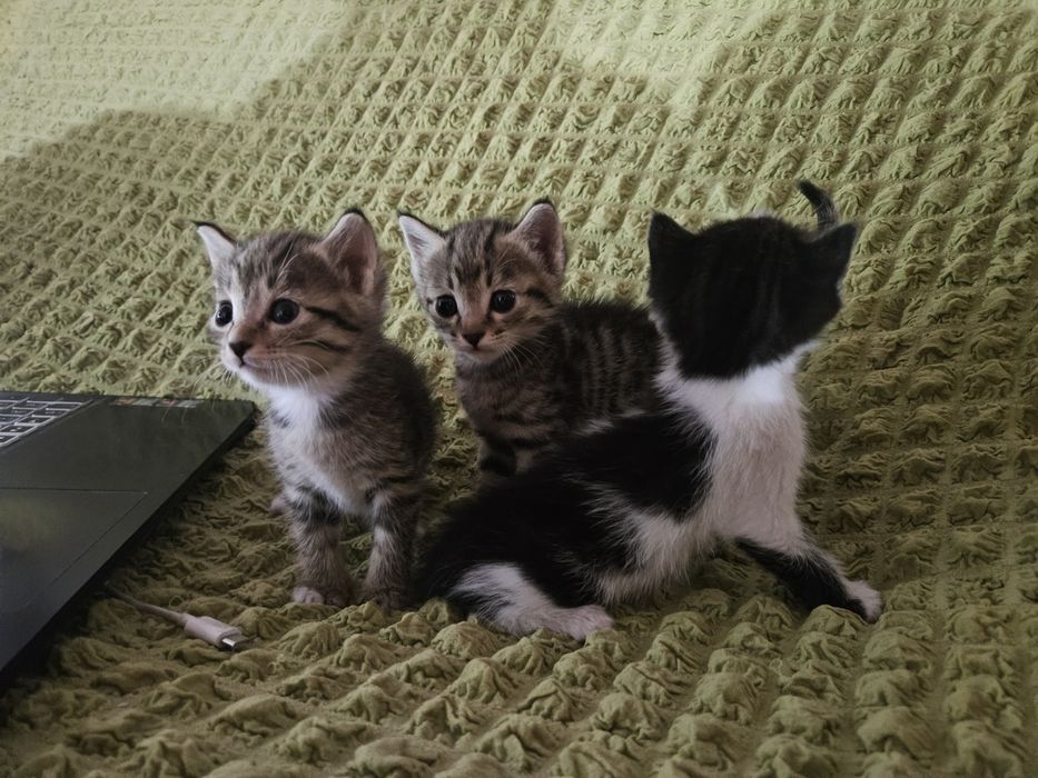 Matritsa onanizm bilan shugullanadi