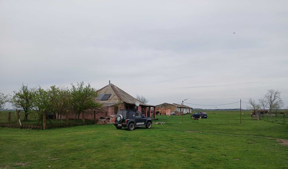 Ferma agricola Salonta