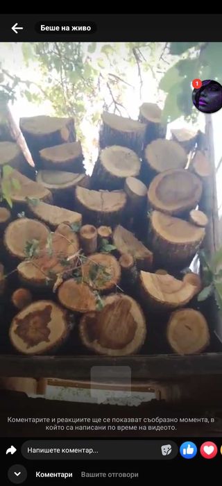 Дърва за огрев мише салкъм