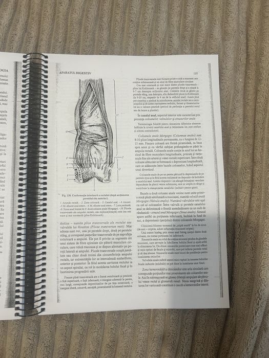 Anatomia Omului Victor Papilian Volumul 1 si 2